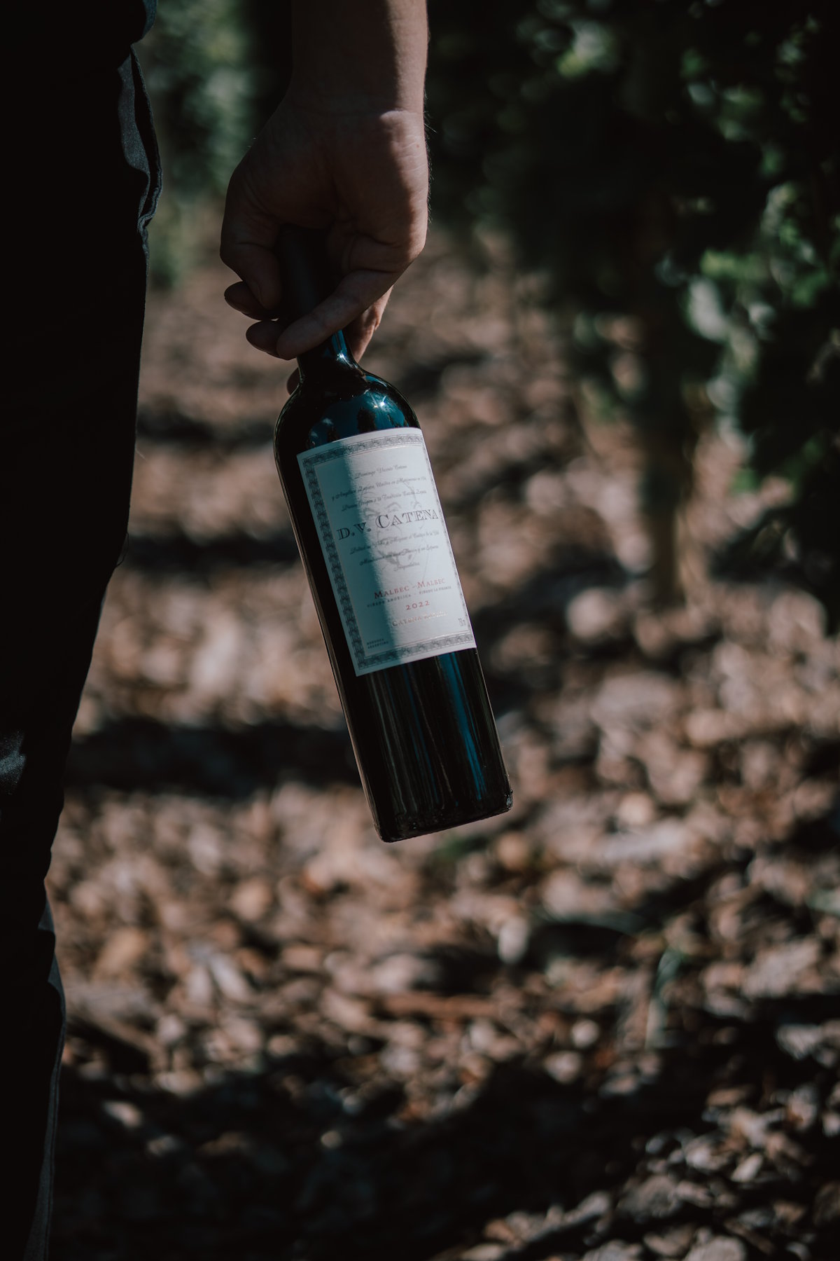 Experiencias en Estancia Vigil 1